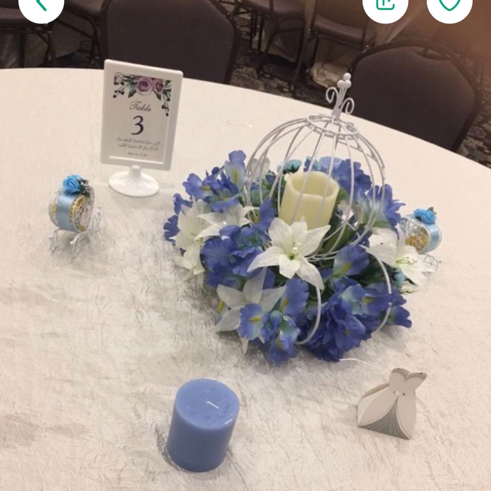 Cinderella Trolley Wedding Decoration